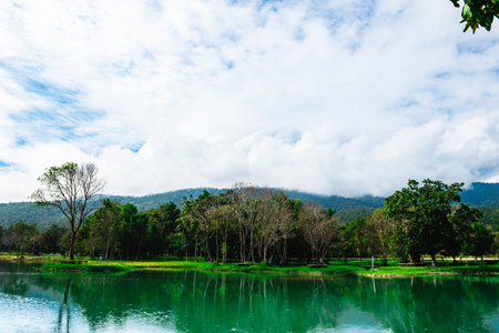 Lake in rice field with mountain background at countryside of Thailand