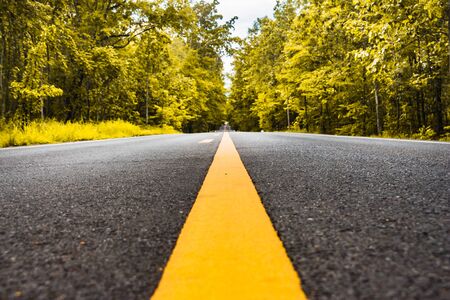 asphalt road with yellow diving line and forest backgroundの写真素材