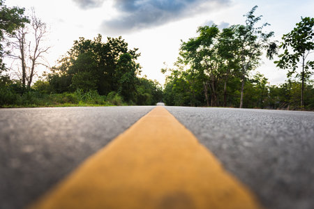 asphalt road with yellow diving line and forest background