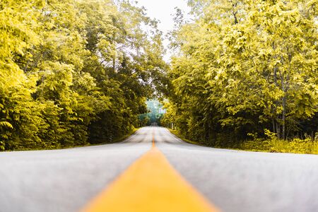 asphalt road with yellow diving line and forest backgroundの写真素材
