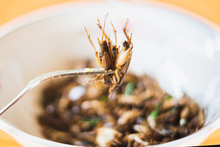 fried cricket as food, insects local street food