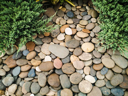 A detail of a small courtyard garden with stoneの写真素材