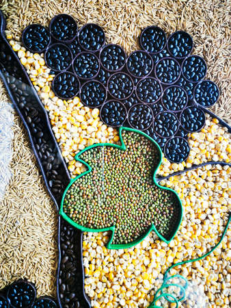 Variety of healthy grains and seeds in a wooden boxの写真素材