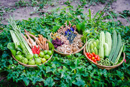fresh vegetables and Thai herb on bamboo basketの写真素材