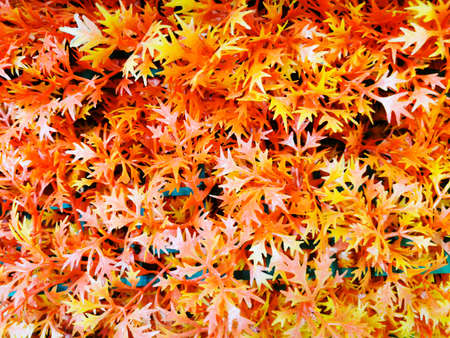 Blurry of Aritificial red and orange autumn leaves backgroundの写真素材