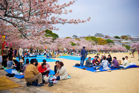 Hyogo, Japan - April 5, 2008: Visitors enjoy their picnic under the Sakura trees (cherry blossoms) at Himeji castle.のeditorial素材