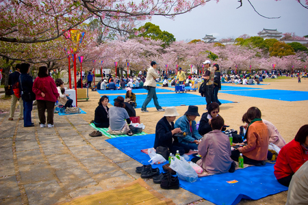 Hyogo, Japan - April 5, 2008: Visitors enjoy their picnic under the Sakura trees (cherry blossoms) at Himeji castle.のeditorial素材