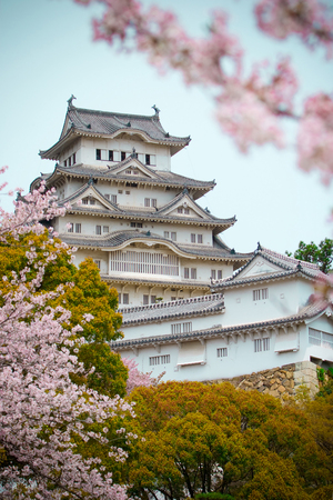 Himeji Castle with blurred cherry blossoms (sakura) branches in foreground. This is the largest and most visited castle in Japan, one of the first UNESCO World Heritage Sites in the country.のeditorial素材