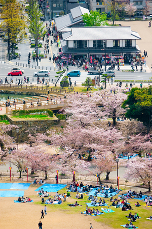 Hyogo, Japan - April 5, 2008: Photo shoot to compare area between inside and outside of Himeji Castle.のeditorial素材