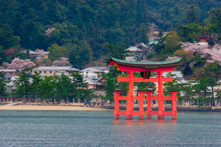 The great O-Torii of Itsukushima Shrine in the water with Sakura trees and mountain of Miyajima...
