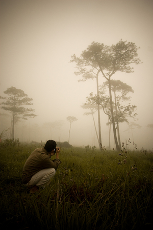 A man taking a photo of forest in the morning with the fogの写真素材