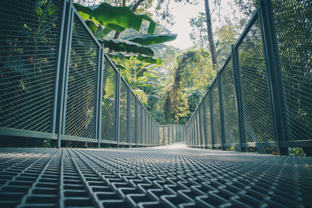 Canopy Walkway at Queen Sirikit Botanic Garden.の写真素材