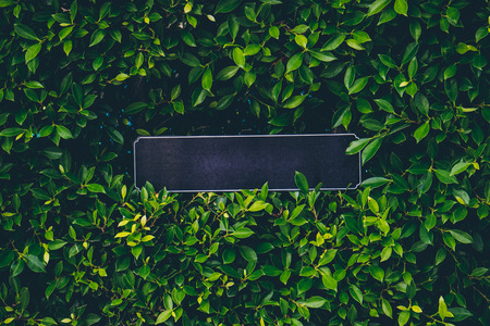 Blank black sign on the green leaves background.の写真素材