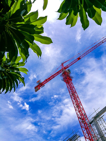 Red crane with blue sky.の写真素材
