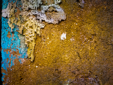 High details of cement grudge wall, concept of background wallpaper. Copy space.の写真素材