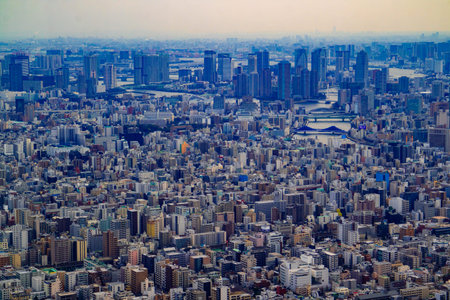 Tokyo / Japan - March 16, 2019: Landscape photo of Tokyo cityscape from aerial top view.