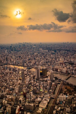 Tokyo / Japan - March 16, 2019: Landscape photo of Tokyo cityscape from aerial top view.