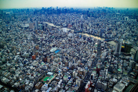 Tokyo / Japan - March 16, 2019: Landscape photo of Tokyo cityscape from aerial top view.