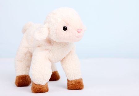 Plush sheep over blue and white background. Toy imageの写真素材