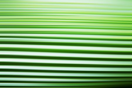  Green leaf texture with lines. Abstract surfaceの写真素材