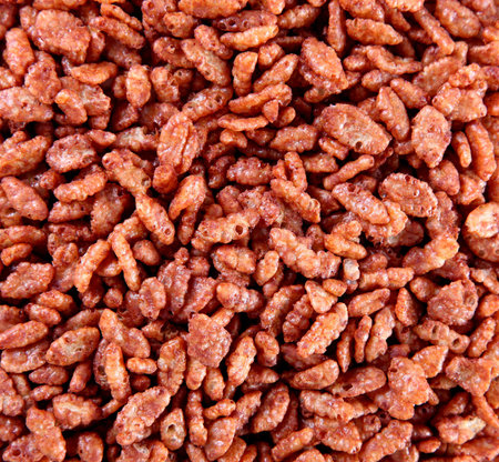 Small chocolate cereal grains texture. Sweet foodの写真素材