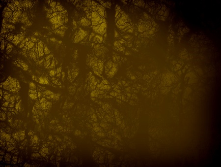 brown texture with bright effects. Abstract illustrationの写真素材