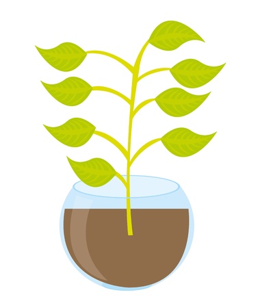 cute plant cartoon isolated over white background. vectorのイラスト素材