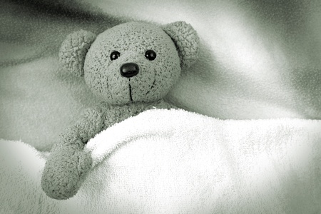 Teddy bear sleeping sleeping with a blanketの写真素材