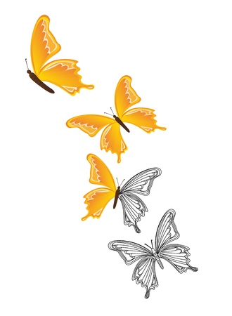 yellow butterfly のイラスト素材