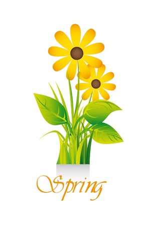 spring flower over white background. のイラスト素材