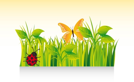 beautiful grass with ladybug and butterfly. のイラスト素材