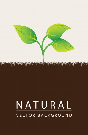 Illustration of a small plant with leaves, vector backgroundのイラスト素材