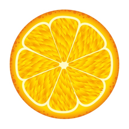orange fruit isolated over white background. vector illustrationのイラスト素材