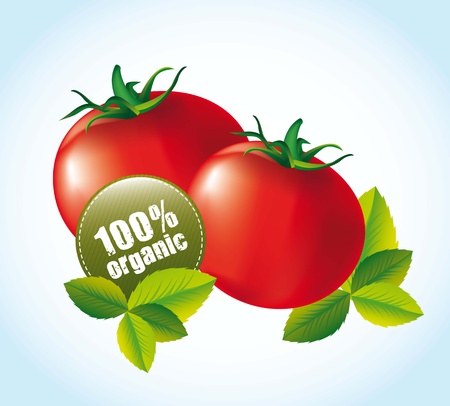 tomato with tags and leaves over blue background. vector illustrationのイラスト素材