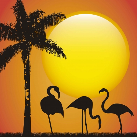flamingo over late afternoon background, animal. vector illustrationのイラスト素材