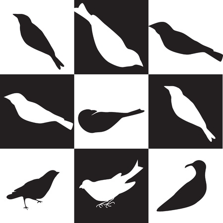 Black and white  birds silhouettes with  background, vector illustration.のイラスト素材