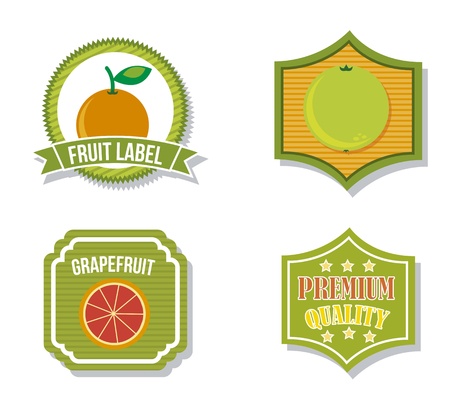 citrus fruit labels over isolated background. vector illustrationのイラスト素材