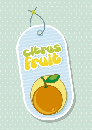citrus fruit label over green background. vector illustrationのイラスト素材