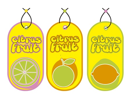 citrus labels over white background. vector illustrationのイラスト素材