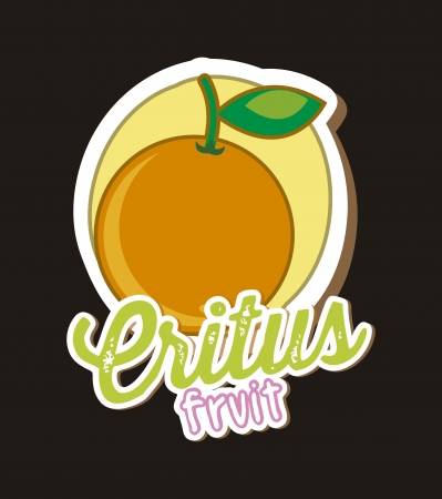 citrus fruit over black background, orange. vector illustrationのイラスト素材
