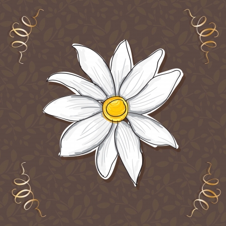 Beautiful White Flower, On brown Background. Vectorのイラスト素材