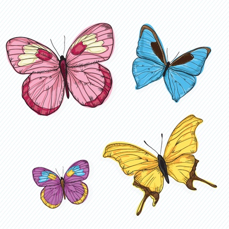 Butterfly Icons ( collection set ) , on white background. Vectro Illustrationのイラスト素材