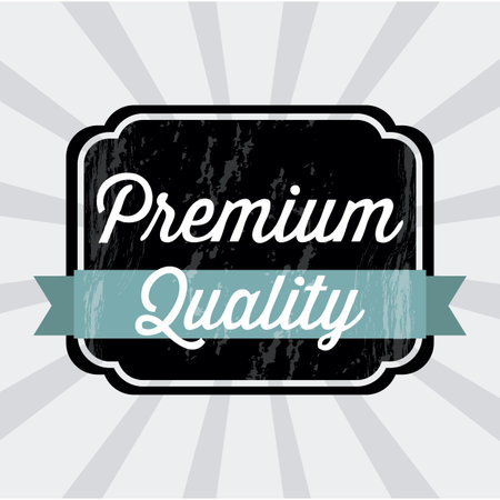 premium quality over gray background. vector illustrationのイラスト素材