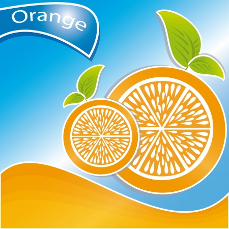 orange citrus fruit  over blue background illustrationのイラスト素材