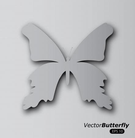 butterflies design over gray background のイラスト素材