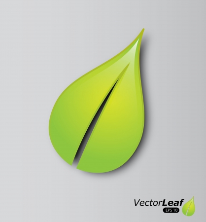 leaf design over gray background vector illustration のイラスト素材