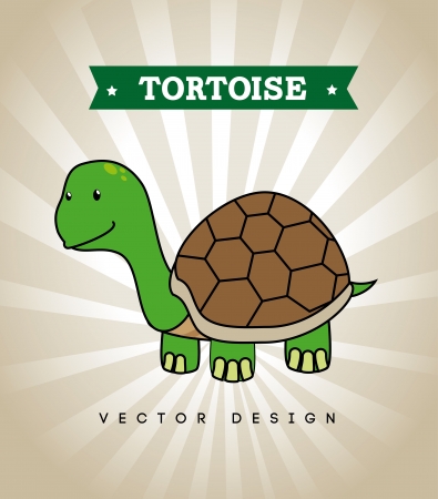 tortoise design over gray background vector illustration のイラスト素材
