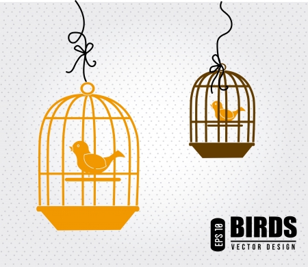 bird design over white background vector illustration  のイラスト素材