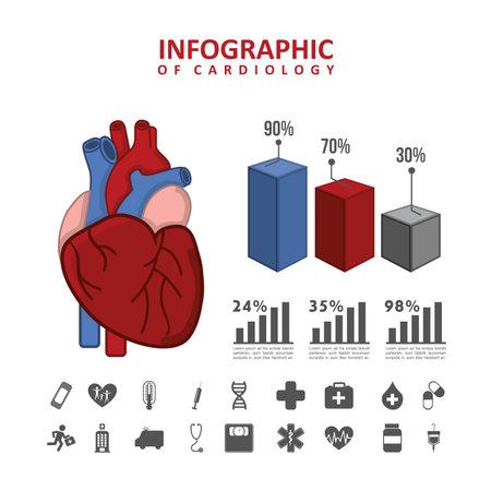 infographics of cardiology design over white background のイラスト素材
