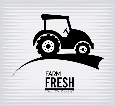 farm fresh label over white background vector illustrationのイラスト素材
